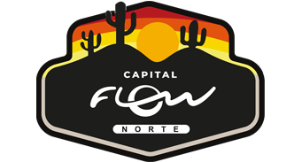 logo capital flow